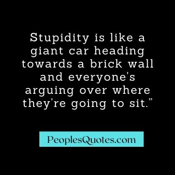 Best Sarcastic Quotes on stupidity
