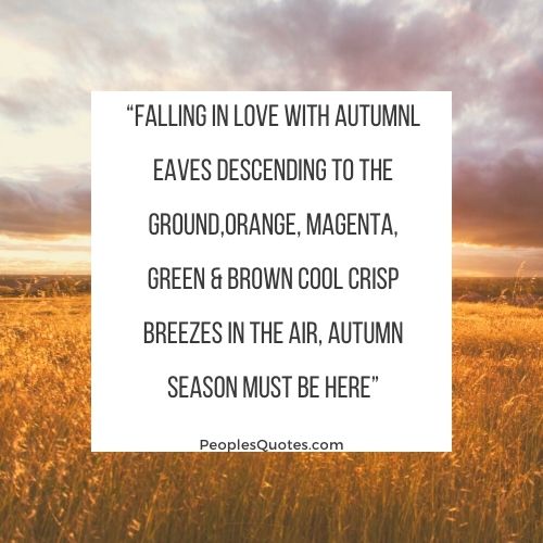 “Falling in love with Autumn quotes