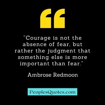 Courage, fear and boldness quotes
