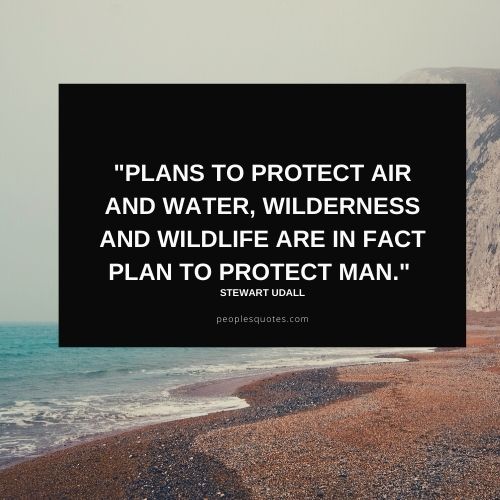 Quotes on Wildlife Protection
