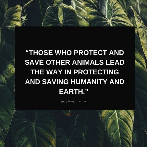 Protecting wildlife quotes images 