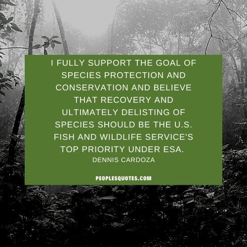Support saving wildlife conservation quotes