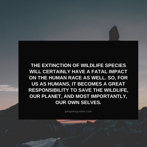 quotes on wildlife protection 