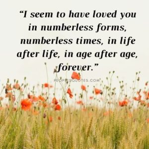 100+ Quotes to Make Her Feel Special