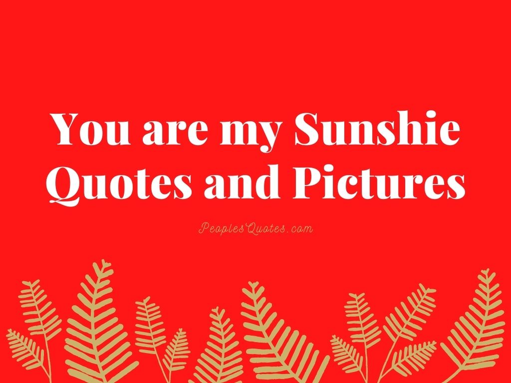 You are my Sunshie Quotes and Pictures