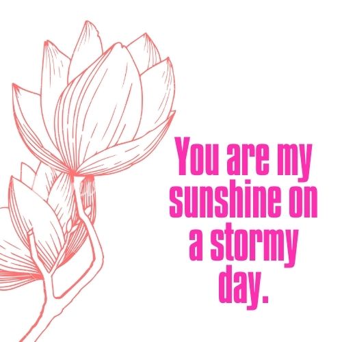 Short You are my sunshine picture quotes