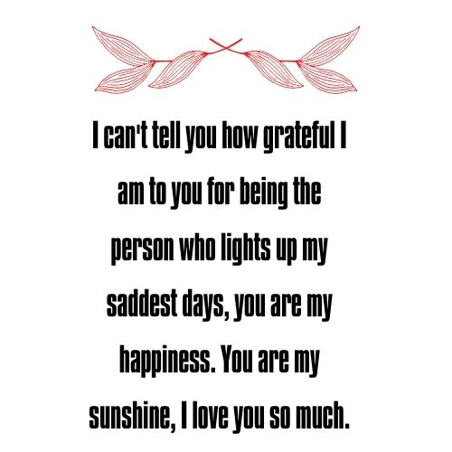 You are my sunshine quotes for Husband and Wife