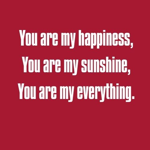 quotes for you are my sunshine
