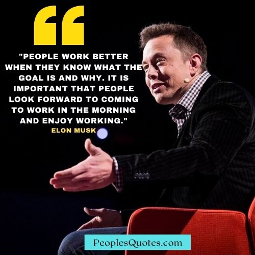Motivational Elon Musk Quote on Life