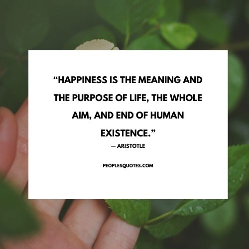 Aristotle Quotes On Happiness 4