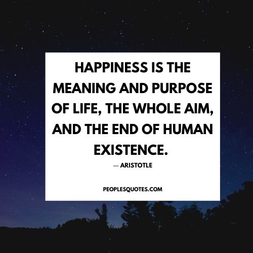 aristotle happiness image quotes
