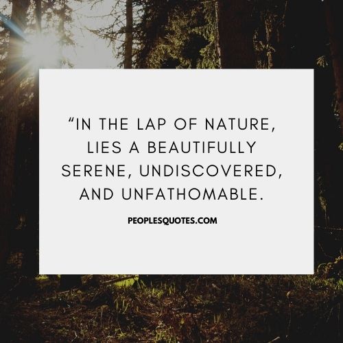 Best Quotes on Nature