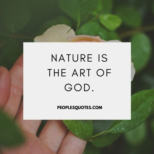 Nature Quotes 3