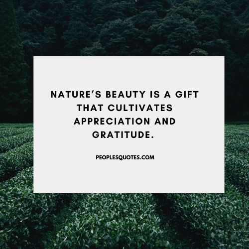 nature's beauty quotes