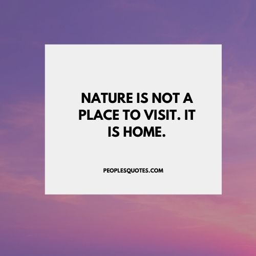Quotes About Nature and Life