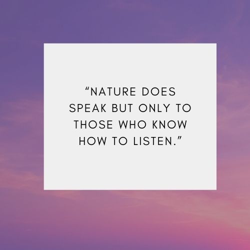 Best Short Quotes about Nature