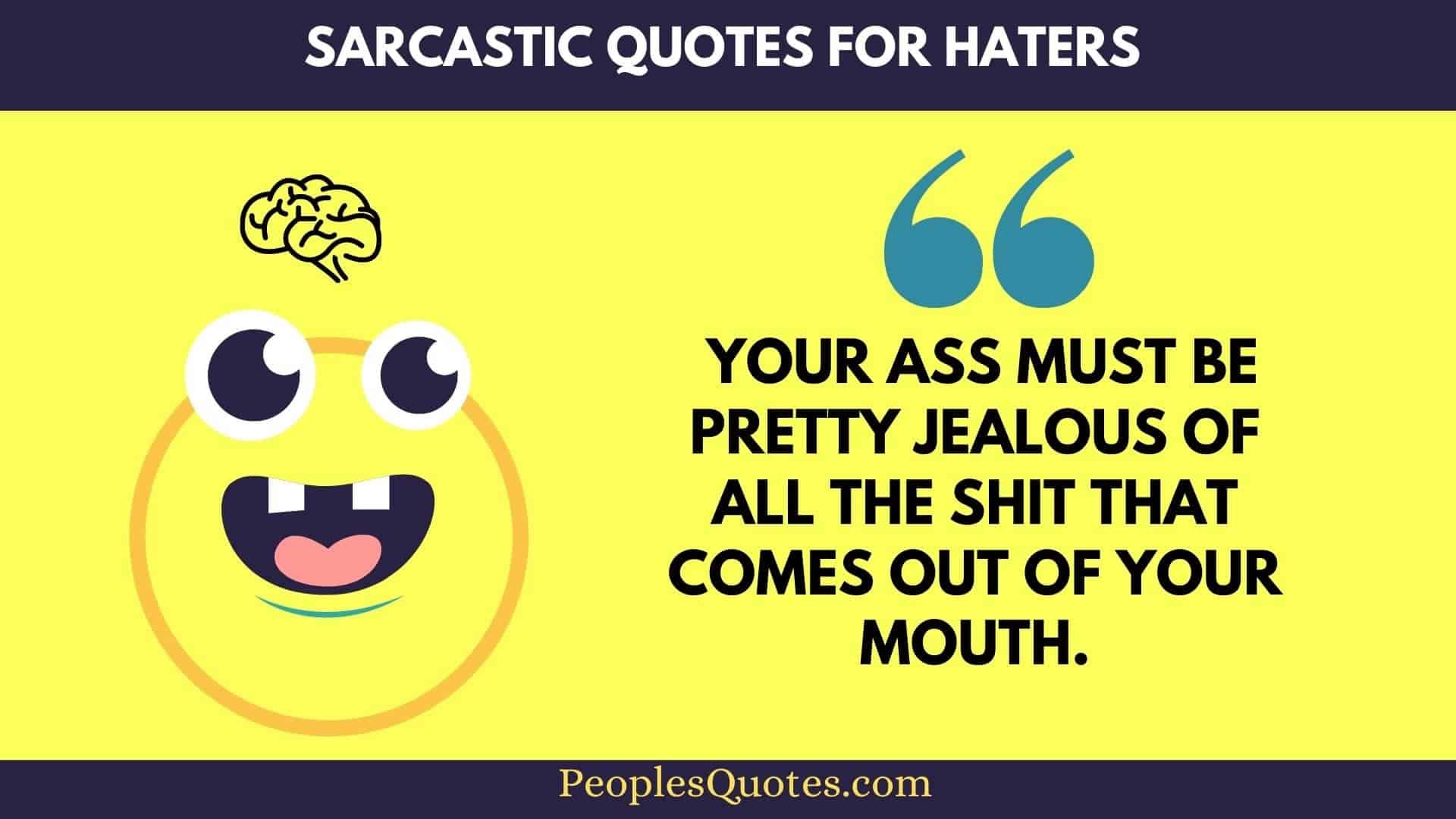 Sarcastic Quotes For Haters