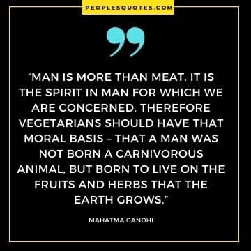 Gandhi Quotes About Animals