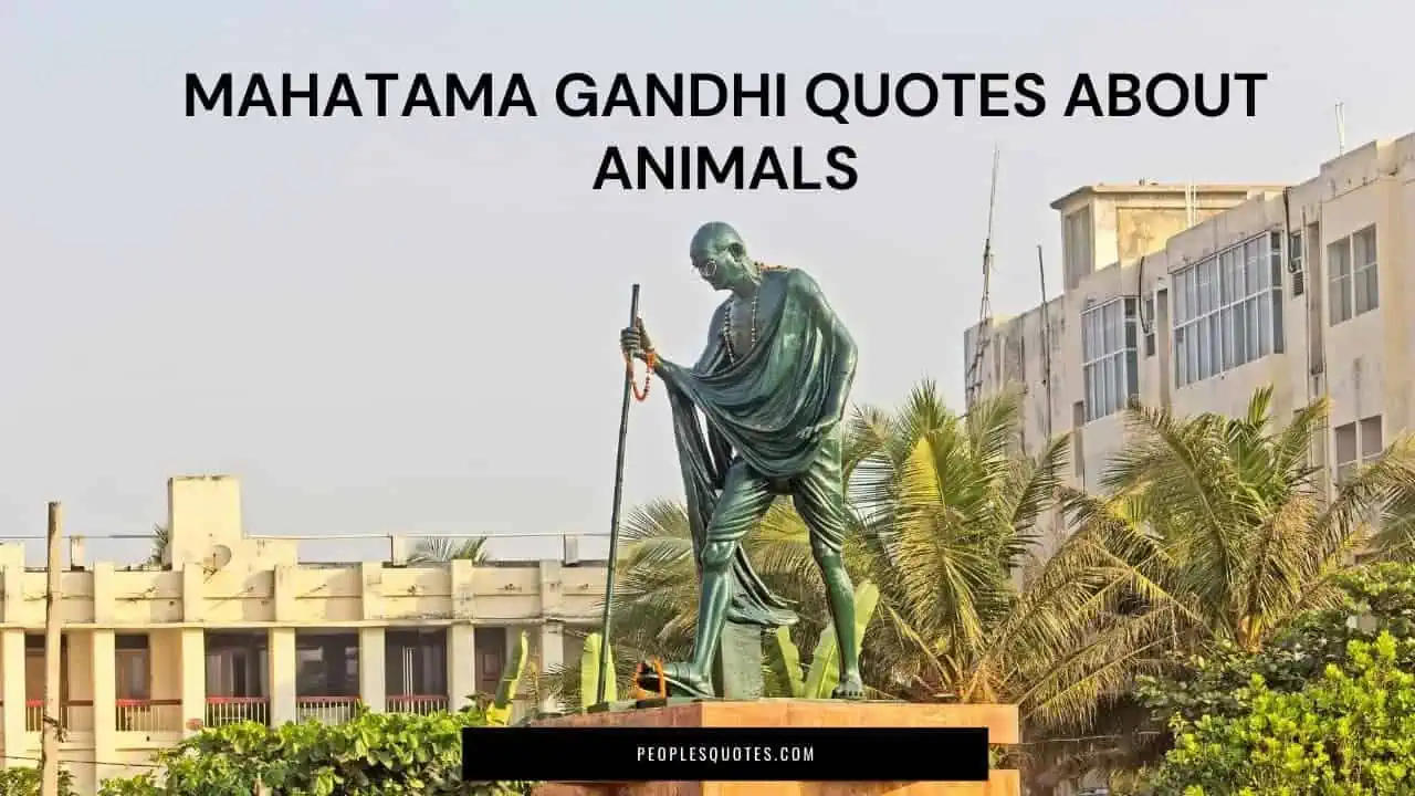 MK Gandhi Quotes About Animals