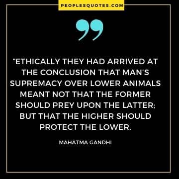 Mahatam Gandhi Quotes About Animals