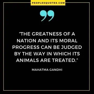 Quotes About Animals by Gandhi