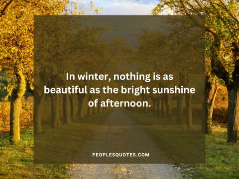 Beautiful Sunshine Quotes