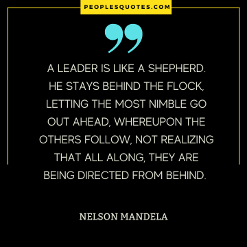 Shepherd Leader Quotes