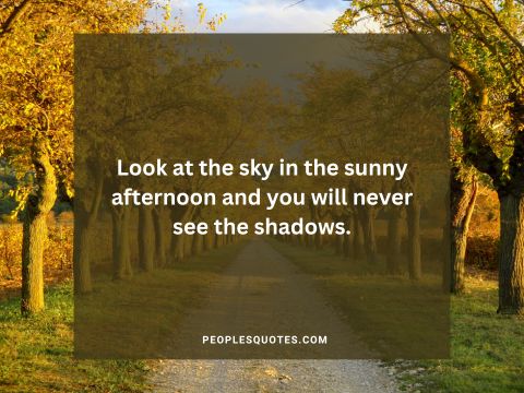 Sunny Afternoon Quotes