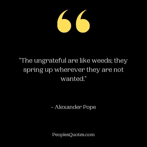 Ungrateful Unwanted People Quotes