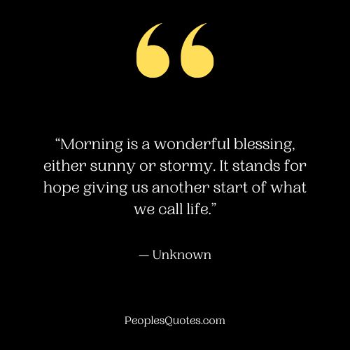 Wonder Morning Powerful Quotes