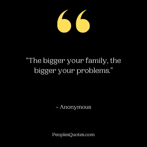 sarcastic family problem quotes